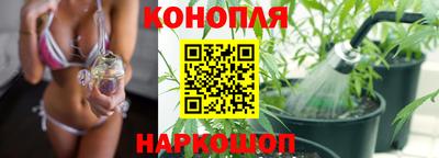спиды Кандалакша