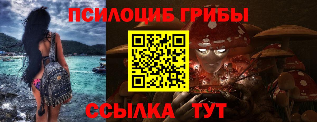 Галлюциногенные грибы Cubensis Дятьково