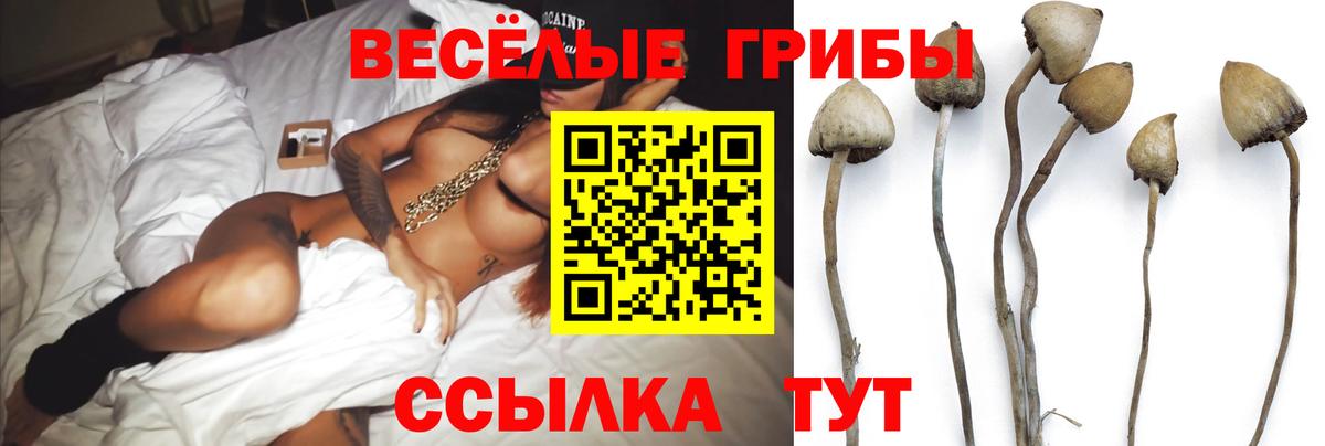 Псилоцибиновые грибы мицелий  Вход с VPN  Дятьково 